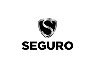 seguro segurança